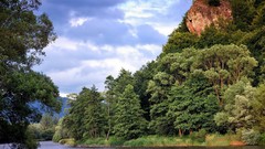 Landscapes nature forests