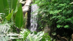 Landscapes nature forests