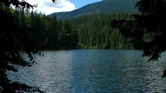 Landscapes nature forests