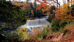 Landscapes nature forests