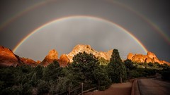 Landscapes nature forests