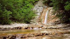 Landscapes nature forests