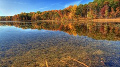Landscapes nature forests