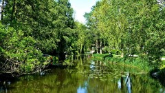 Landscapes nature forests