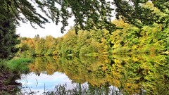 Landscapes nature forests