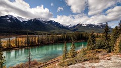 Landscapes nature forests