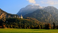 Landscapes nature forests