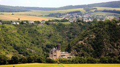 Landscapes nature forests