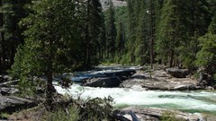 Landscapes nature forests