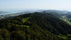 Landscapes nature forests