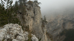 Landscapes nature forests cliffs