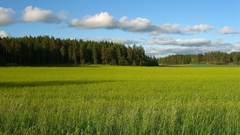 Landscapes nature forests grass