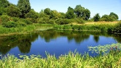 Landscapes nature forests lakes