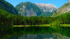 Landscapes nature forests Mountains