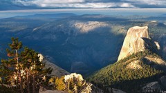 Landscapes nature forests overview