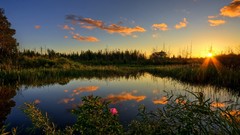 Landscapes nature forests ponds