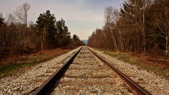 Landscapes nature forests railroad