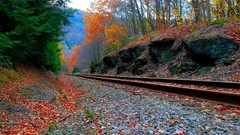 Landscapes nature forests railroad tracks