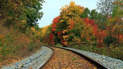 Landscapes nature forests railroads