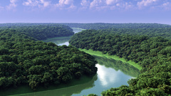 Landscapes nature forests rivers