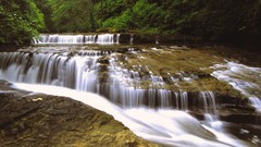 Landscapes nature forests rivers