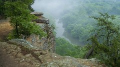 Landscapes nature forests rivers
