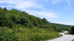 Landscapes nature forests roads