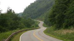 Landscapes nature forests roads