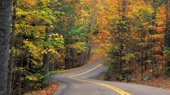 Landscapes nature forests roads