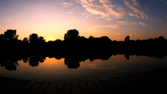 Landscapes nature forests sunset