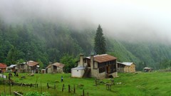 Landscapes nature forests Turkey