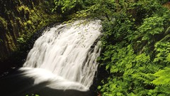 Landscapes nature forests waterfalls
