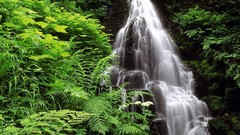 Landscapes nature forests waterfalls