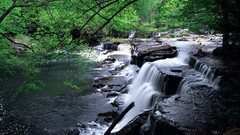 Landscapes nature forests waterfalls