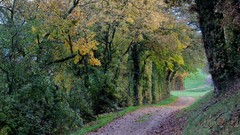 Landscapes nature fortress