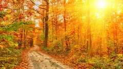 Landscapes nature fortress