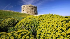 Landscapes nature fortress Spain yellow flowers