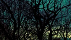 Landscapes nature Fractals