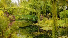 Landscapes nature France Garden normandy Monet Giverny