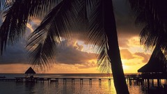Landscapes nature French Polynesia