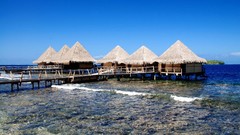 Landscapes nature French Polynesia