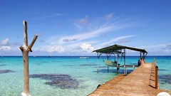 Landscapes nature French Polynesia
