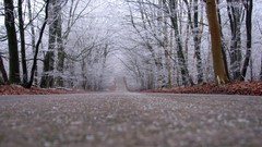 Landscapes nature frost roads