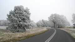 Landscapes nature frost roads