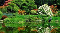 Landscapes nature Garden Oregon Parks shore oriental