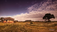 Landscapes nature germany