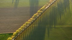 Landscapes nature germany north country road rhine
