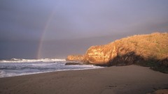 Landscapes nature gold Pacific