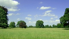 Landscapes nature grass