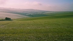 Landscapes nature grass